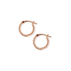 Mini Twisted Hoop Earrings - Junk Jewels